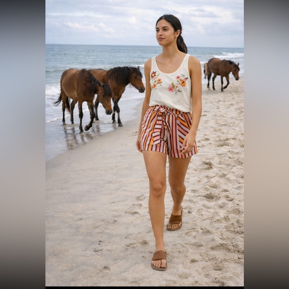 Anthropologie NWT Belted Stripe Shorts Size XSP